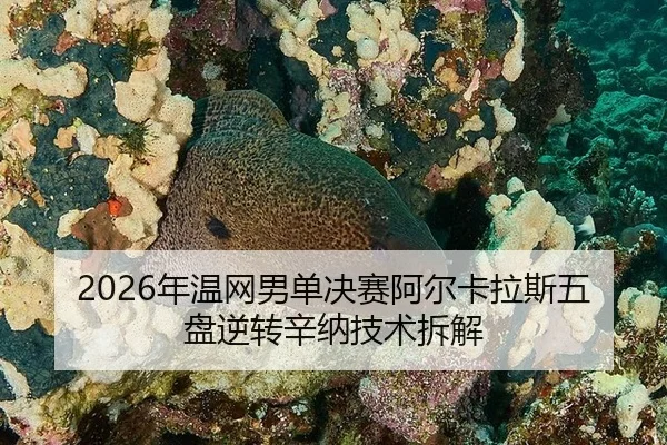 nian-wen-wang-nan-dan-jue-sai-a-er-ka-la-si-wu-pan-ni-zhuan-xin-na-ji-shu-chai-jie-3-998.jpg
